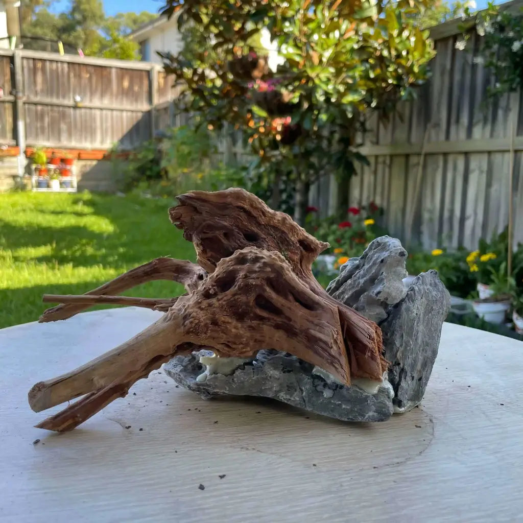 (1 pcs) Assorted Spiderwood on Seiryu Rock