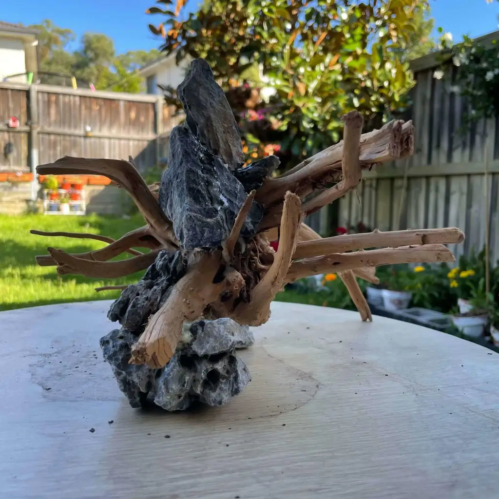 (1 pcs) Assorted Spiderwood on Seiryu Rock