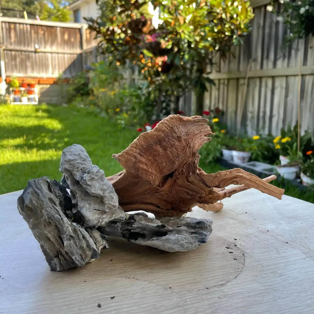 (1 pcs) Assorted Spiderwood on Seiryu Rock
