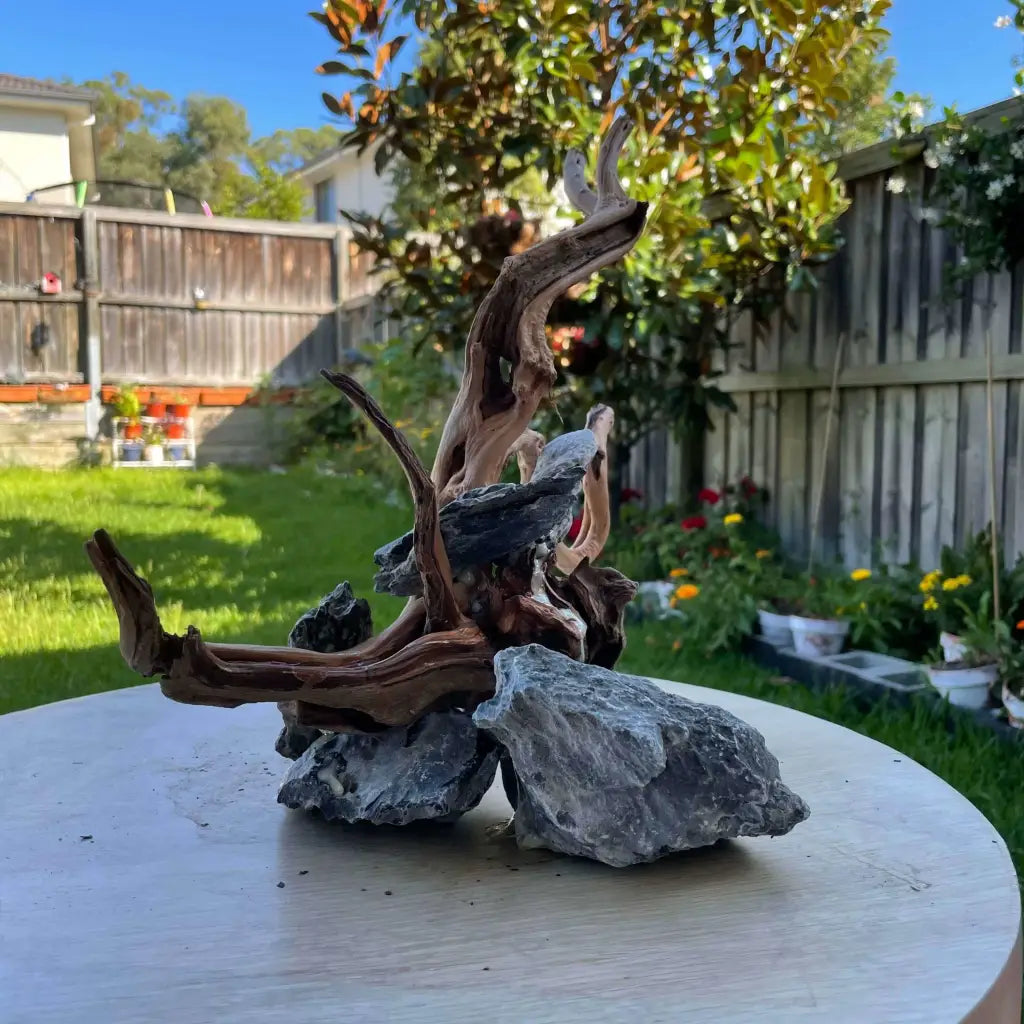 (1 pcs) Assorted Spiderwood on Seiryu Rock