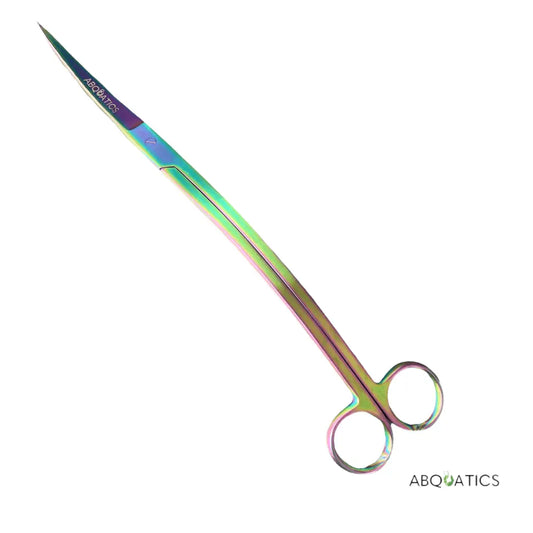 25CM ABQUATICS Scissor Wave Rainbow