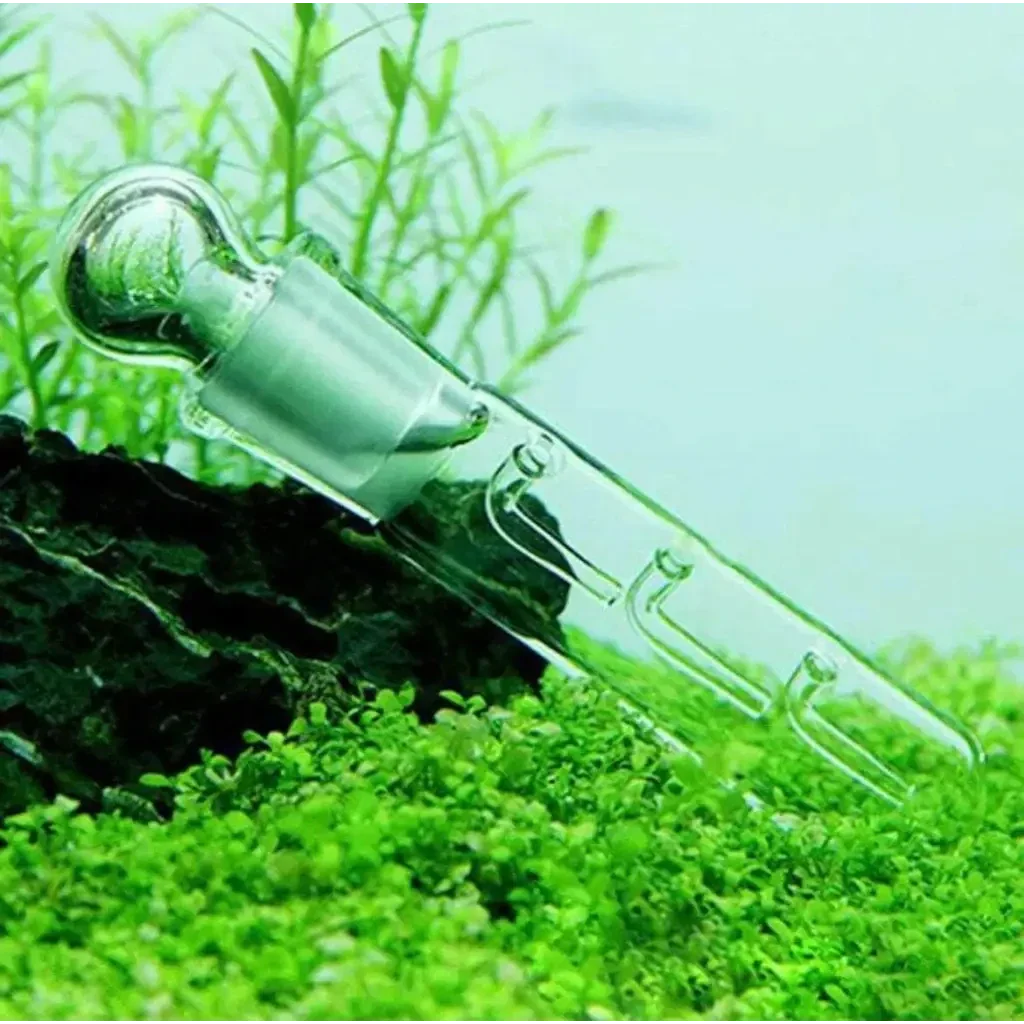 Glass aquarium CO2 checker.