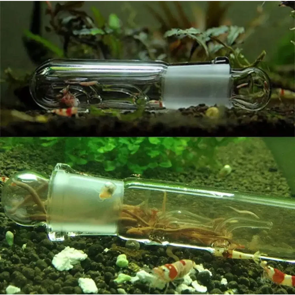 3 Hole Planaria Catching Tube ( Glass )