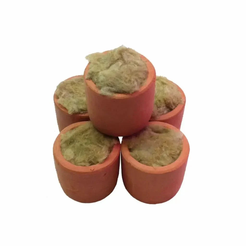 Small terracotta pots filled with fibrous material.