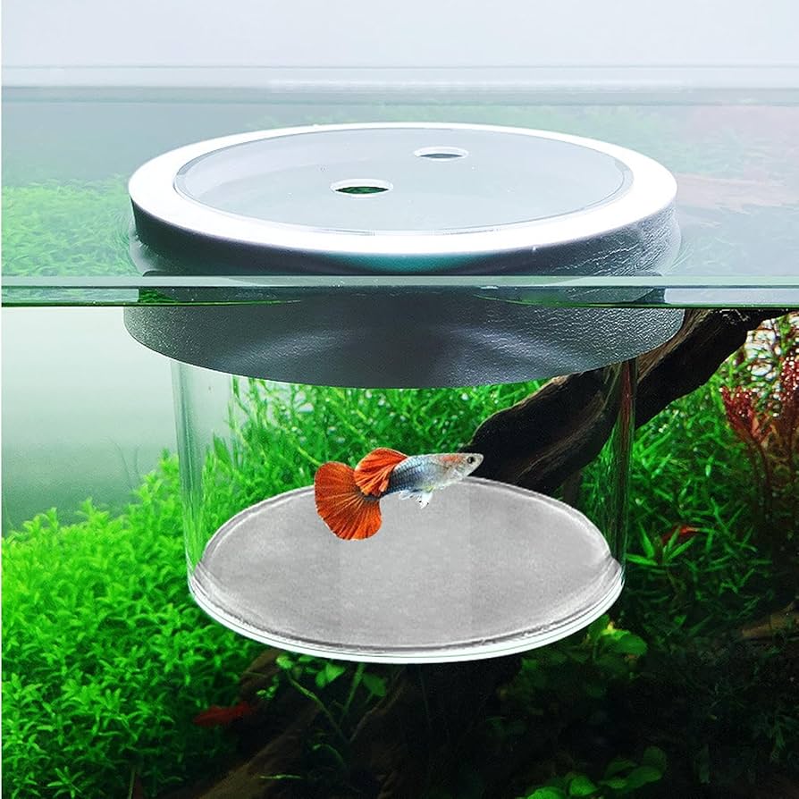 Floating Fish Breeding / Fry Isolation Box