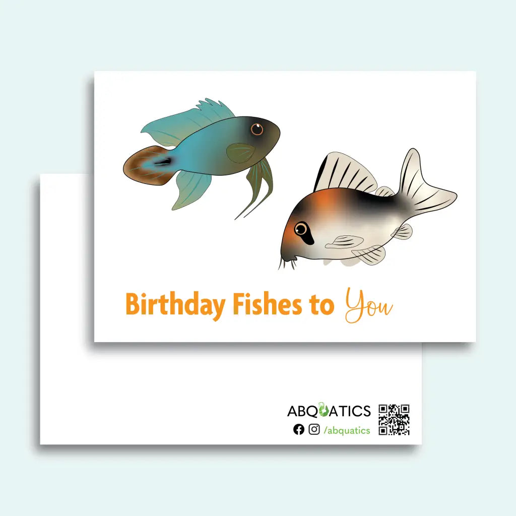 Abquatics Postcard - Birthday Fishes To You