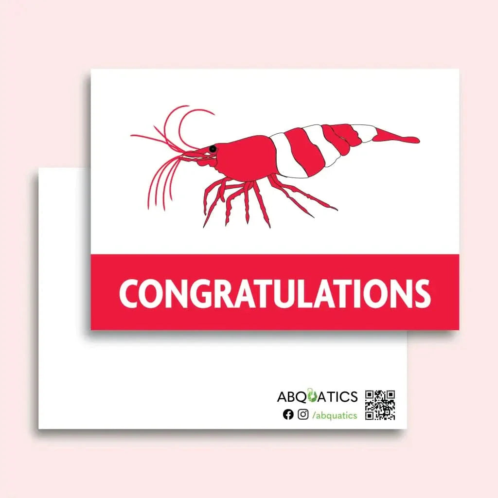 Congratulations card with shrimp.