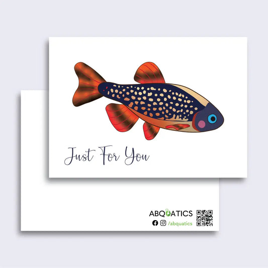 Abquatics Postcard - Just For You