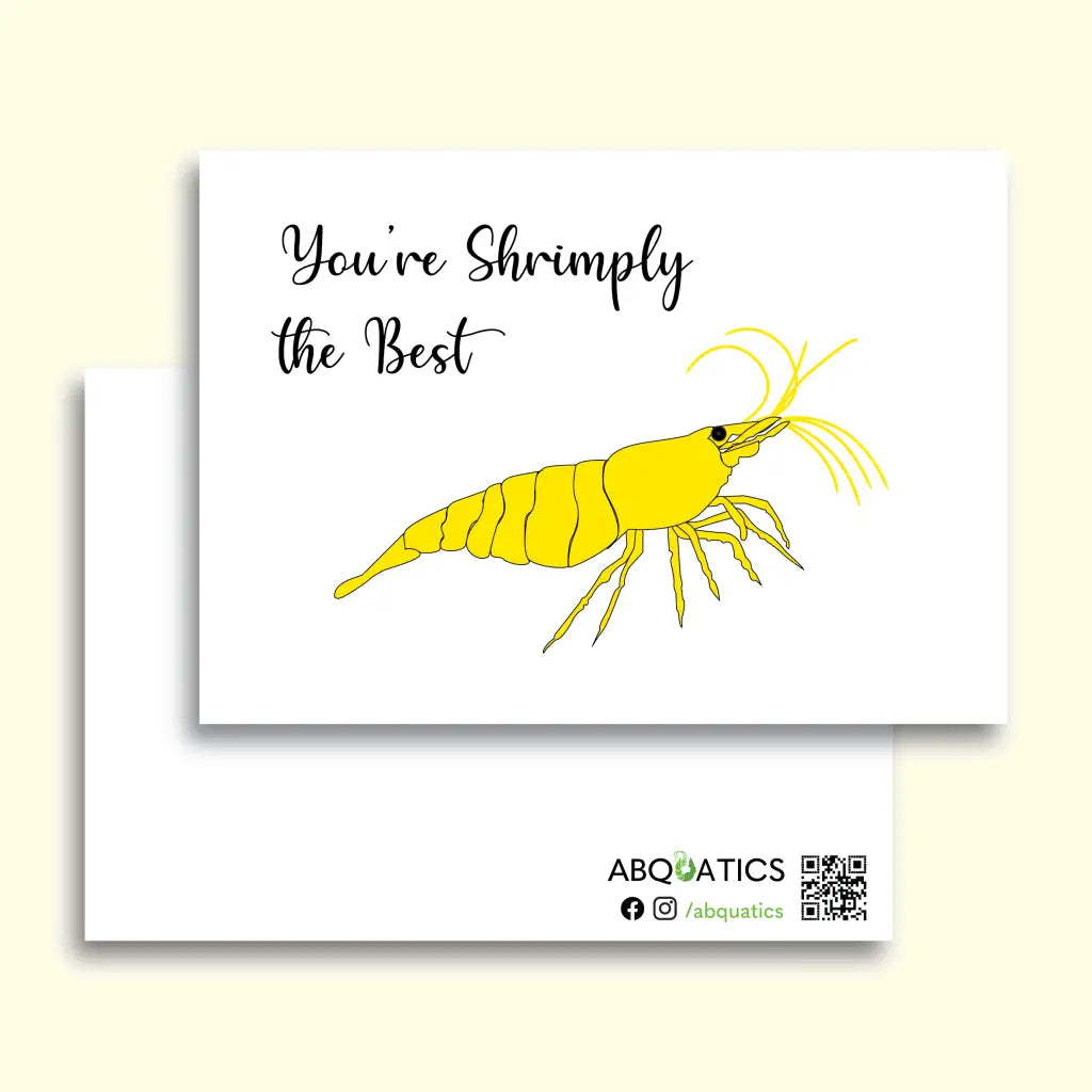Abquatics Postcard - You’re Shrimply The Best