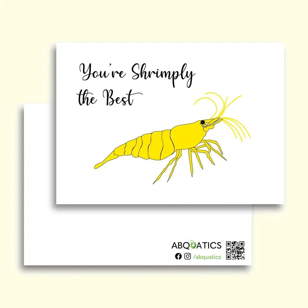 Greeting card with yellow shrimp.
