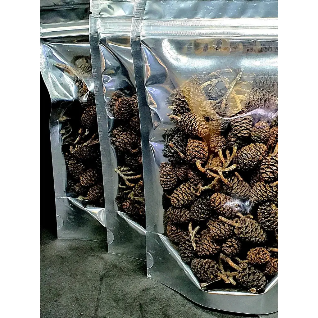 Alder Cones 12 Pcs