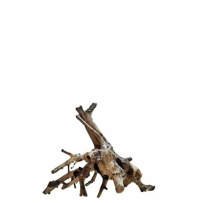 Weathered driftwood sculpture.