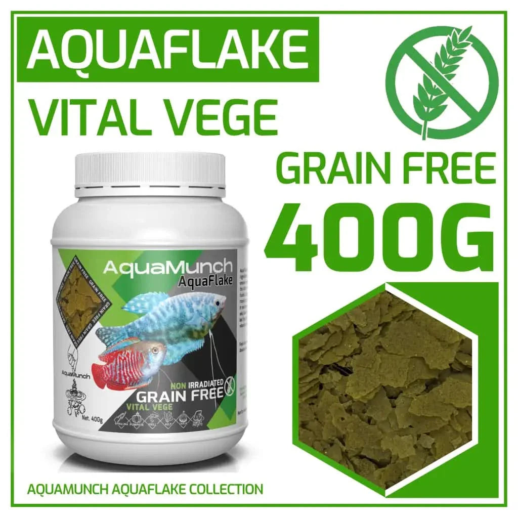 Aquatic fish food flakes.