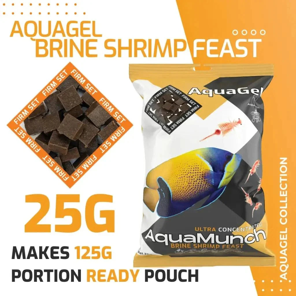 Aquagel brine shrimp feast.