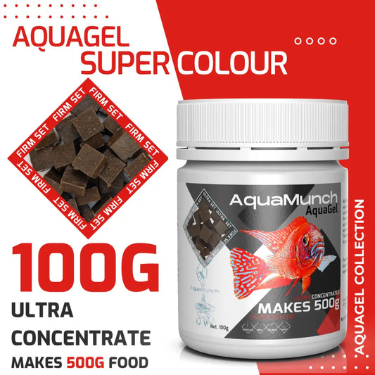 AquaMunch AquaGel Fish Food - Super Color
