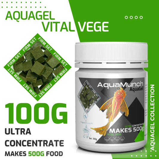 AquaMunch AquaGel Fish Food - Vital Vege