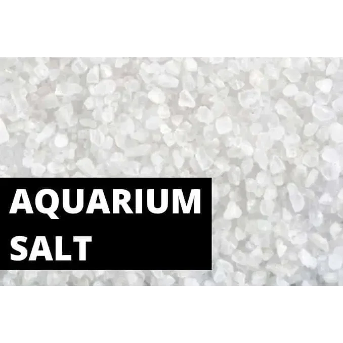 Aquarium salt.