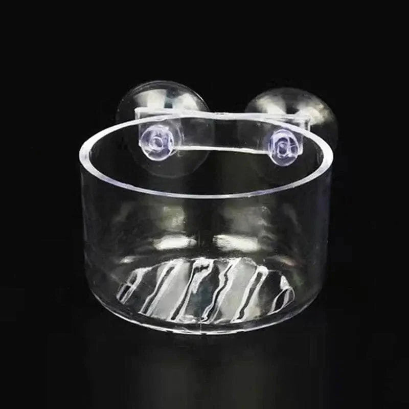 Aquarium Feeding Dish With Dual Suction Cup