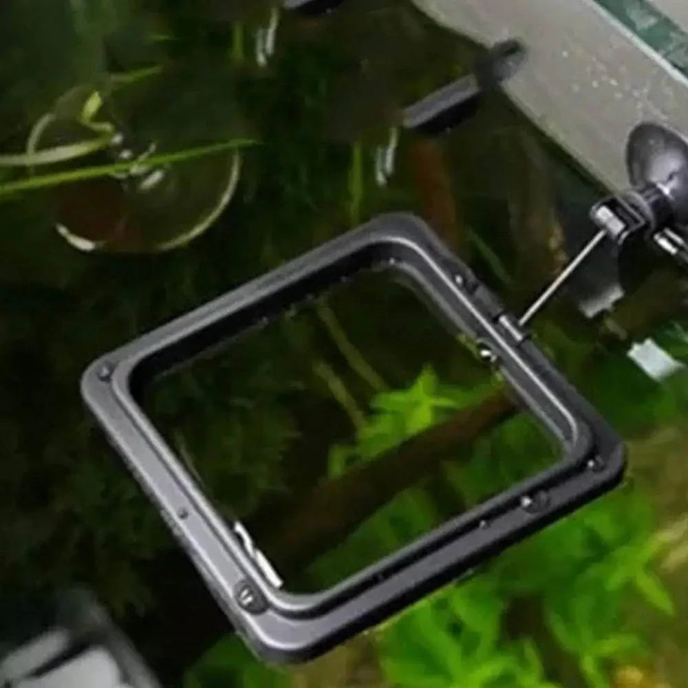 Aquarium Feeding Ring Fish Tank Station Black Square