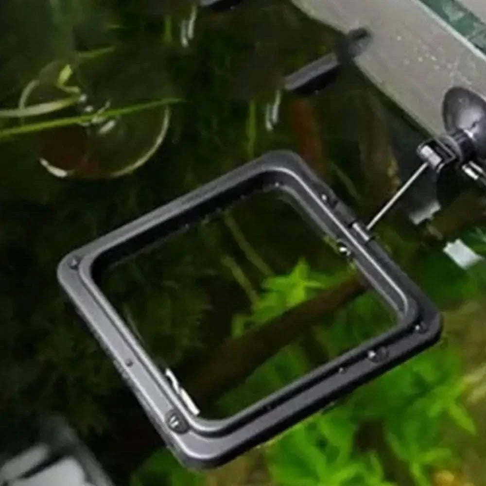 Floating square feeding ring.