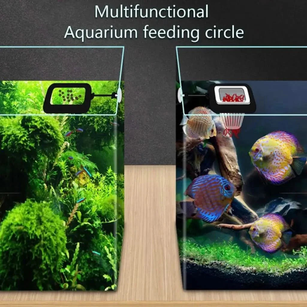 Aquarium feeding circles.