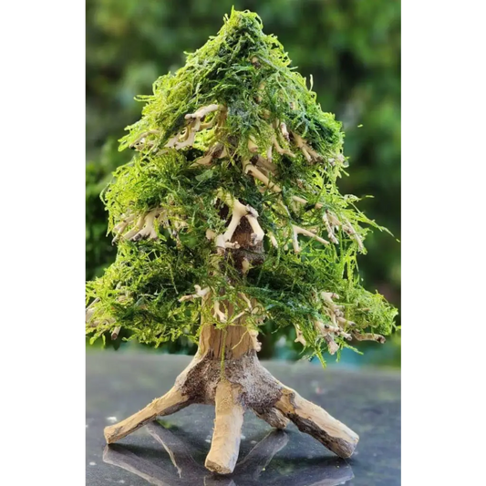 Aquascaping Handmade Aquatic Bonsai Driftwood Christmas Tree