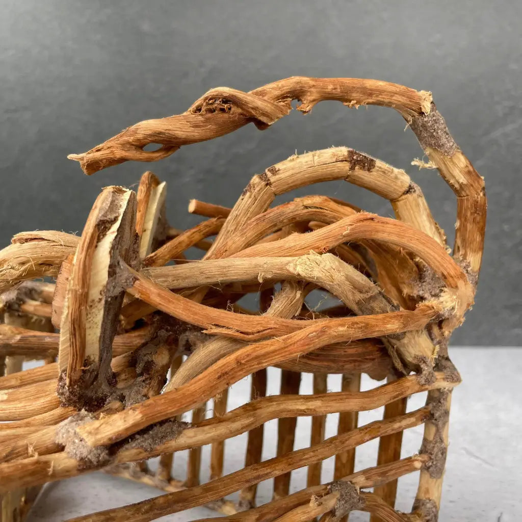 Aquascaping Handmade Aquatic Bonsai Driftwood Decor 20cm(L)x20cm(H) ABQ101