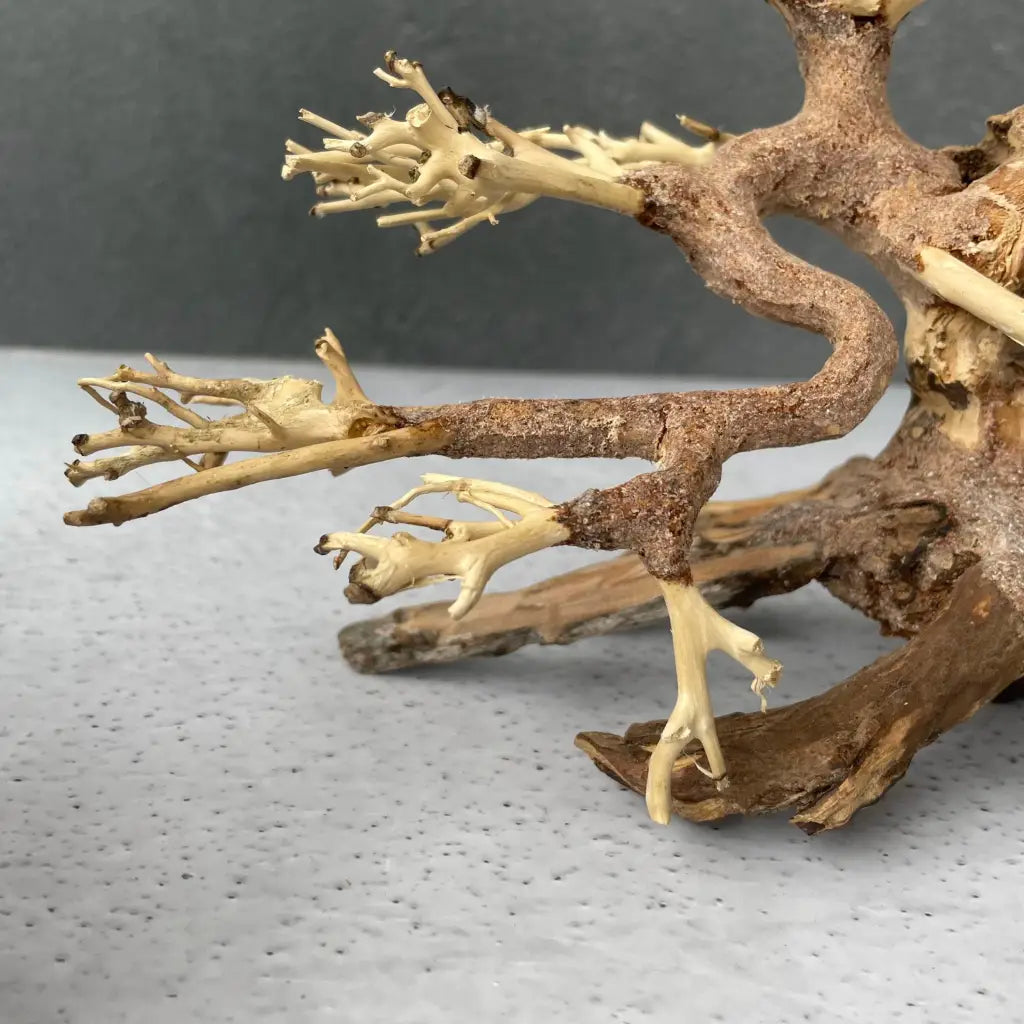 Aquascaping Handmade Aquatic Bonsai Driftwood Tree 20cm(L)x15cm(H) ABQ07