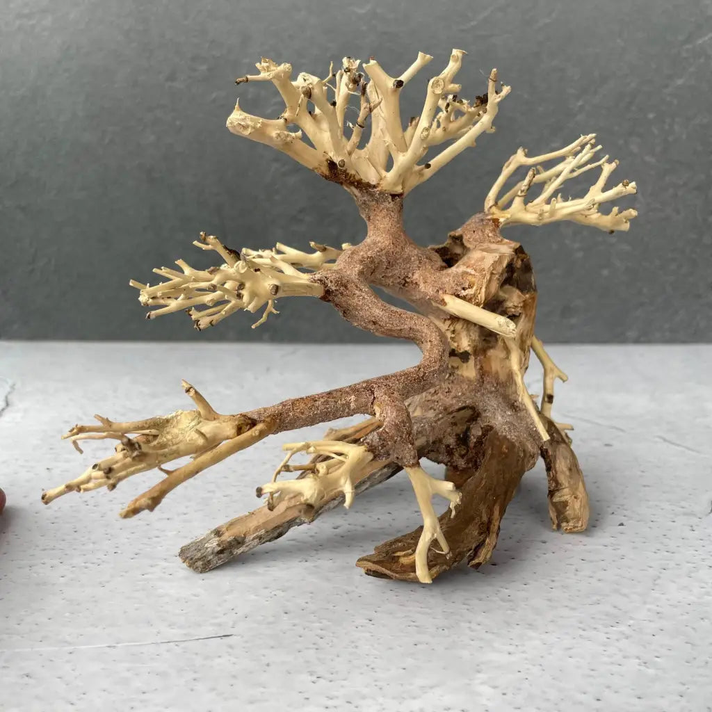 Aquascaping Handmade Aquatic Bonsai Driftwood Tree 20cm(L)x15cm(H) ABQ07