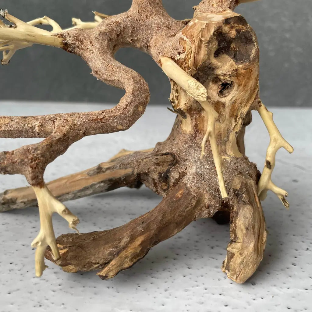 Aquascaping Handmade Aquatic Bonsai Driftwood Tree 20cm(L)x15cm(H) ABQ07