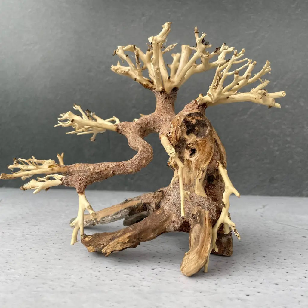 Aquascaping Handmade Aquatic Bonsai Driftwood Tree 20cm(L)x15cm(H) ABQ07