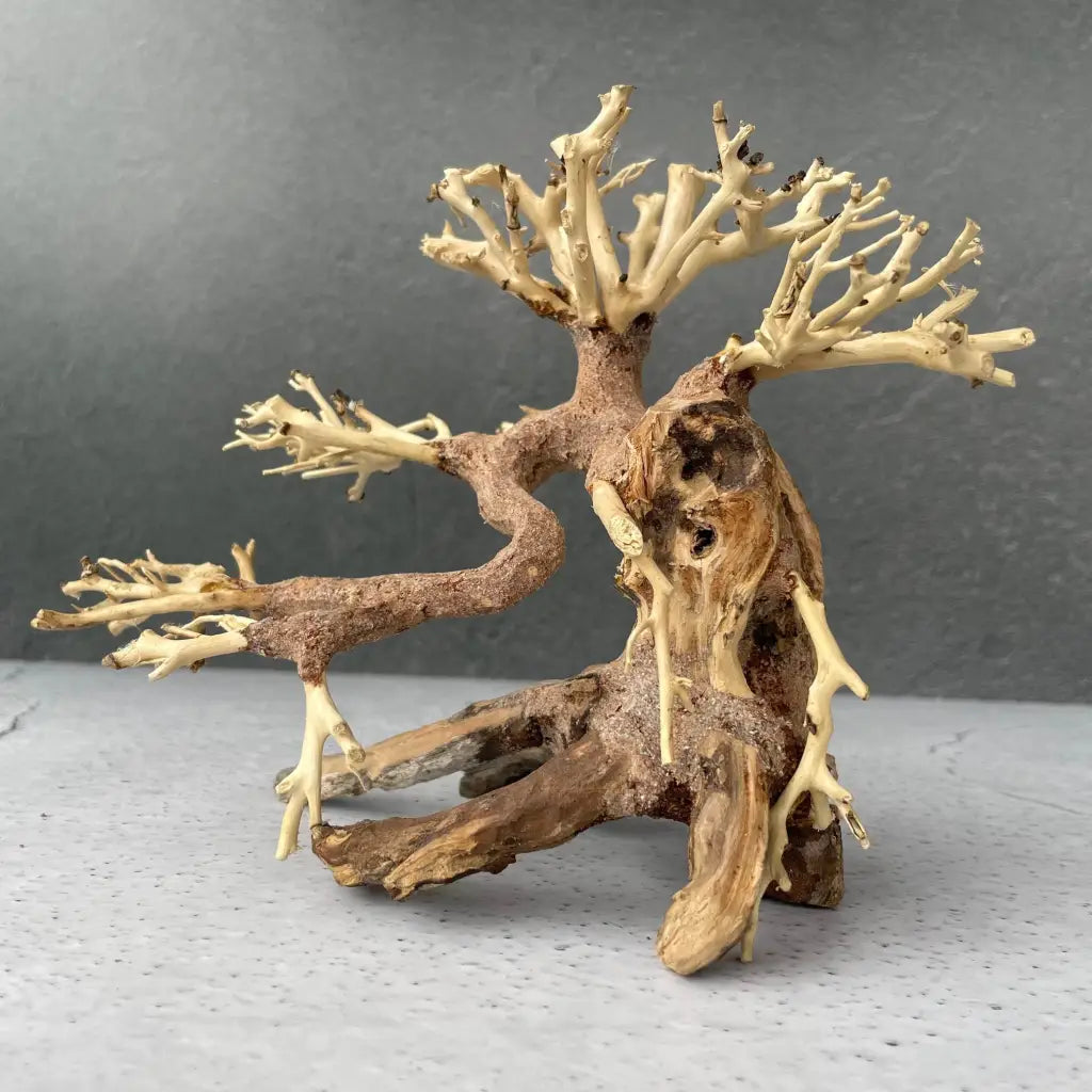 Aquascaping Handmade Aquatic Bonsai Driftwood Tree 20cm(L)x15cm(H) ABQ07