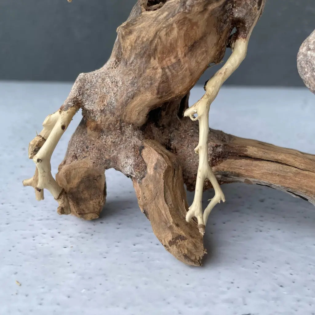 Aquascaping Handmade Aquatic Bonsai Driftwood Tree 20cm(L)x15cm(H) ABQ23