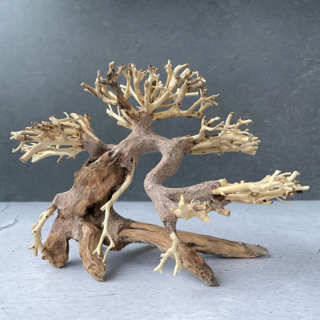 Aquascaping Handmade Aquatic Bonsai Driftwood Tree 20cm(L)x15cm(H) ABQ23