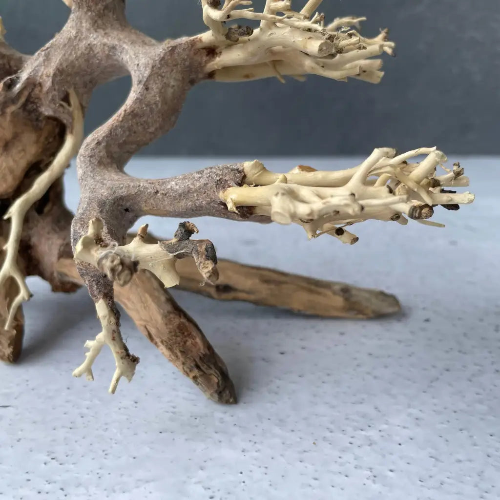 Aquascaping Handmade Aquatic Bonsai Driftwood Tree 20cm(L)x15cm(H) ABQ23