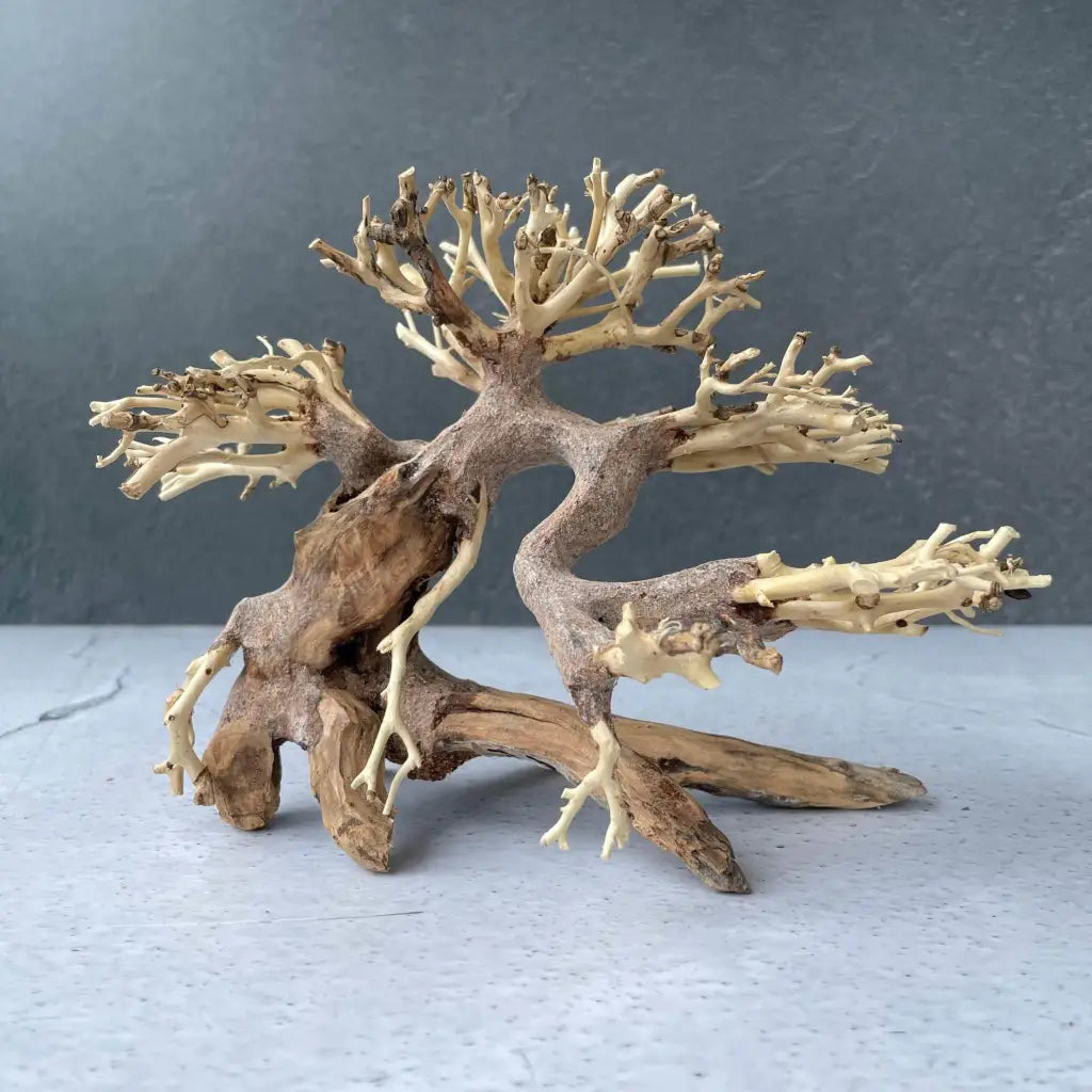 Aquascaping Handmade Aquatic Bonsai Driftwood Tree 20cm(L)x15cm(H) ABQ23