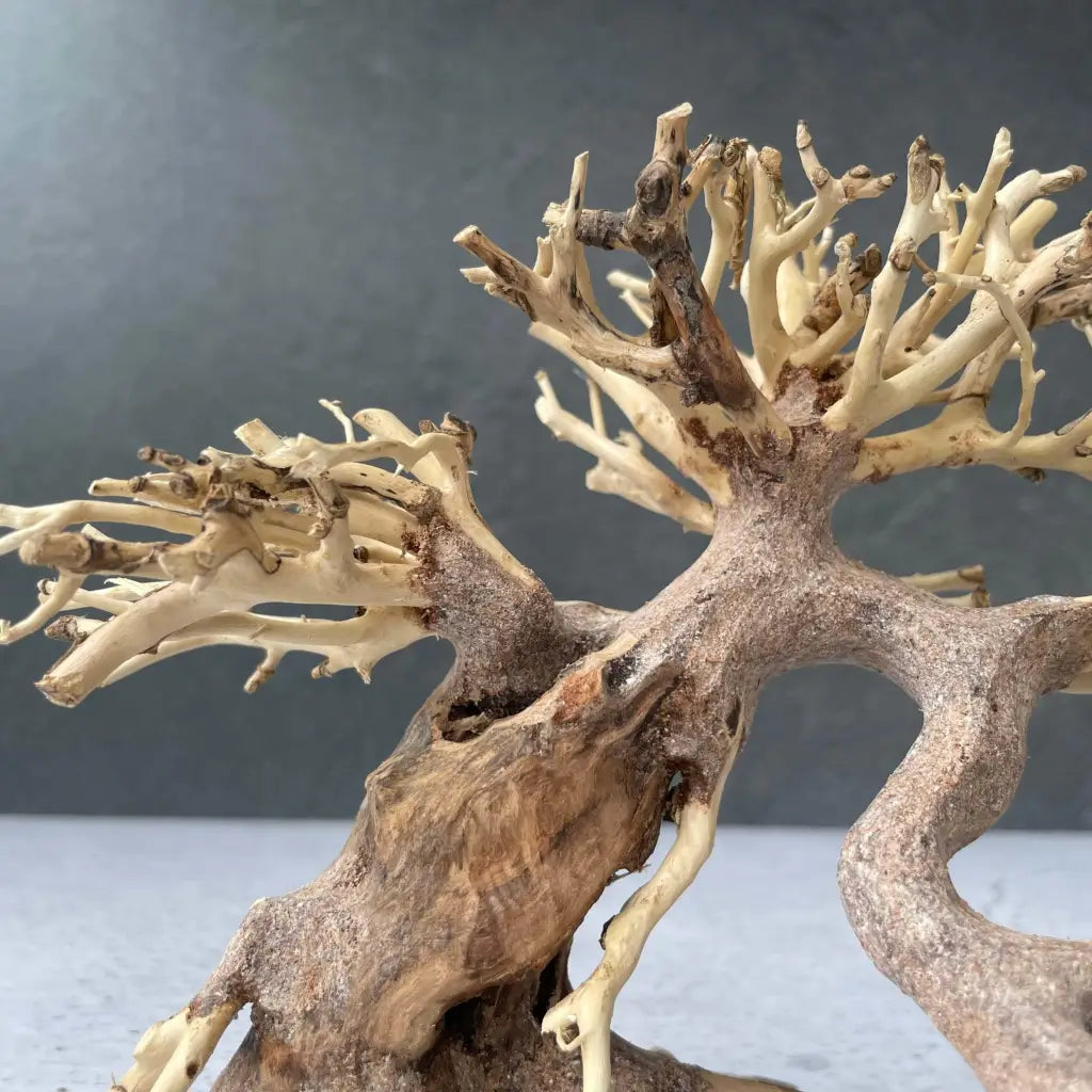 Aquascaping Handmade Aquatic Bonsai Driftwood Tree 20cm(L)x15cm(H) ABQ23