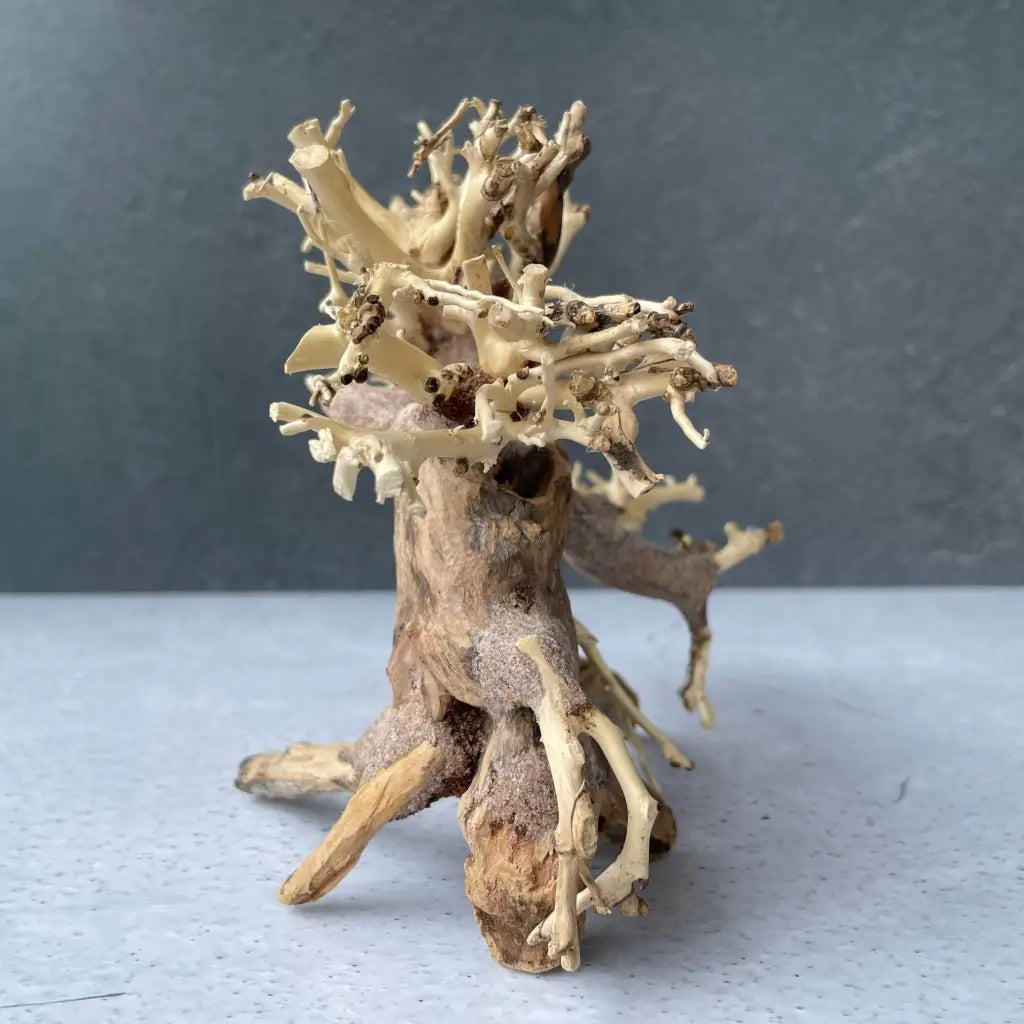 Aquascaping Handmade Aquatic Bonsai Driftwood Tree 20cm(L)x15cm(H) ABQ23