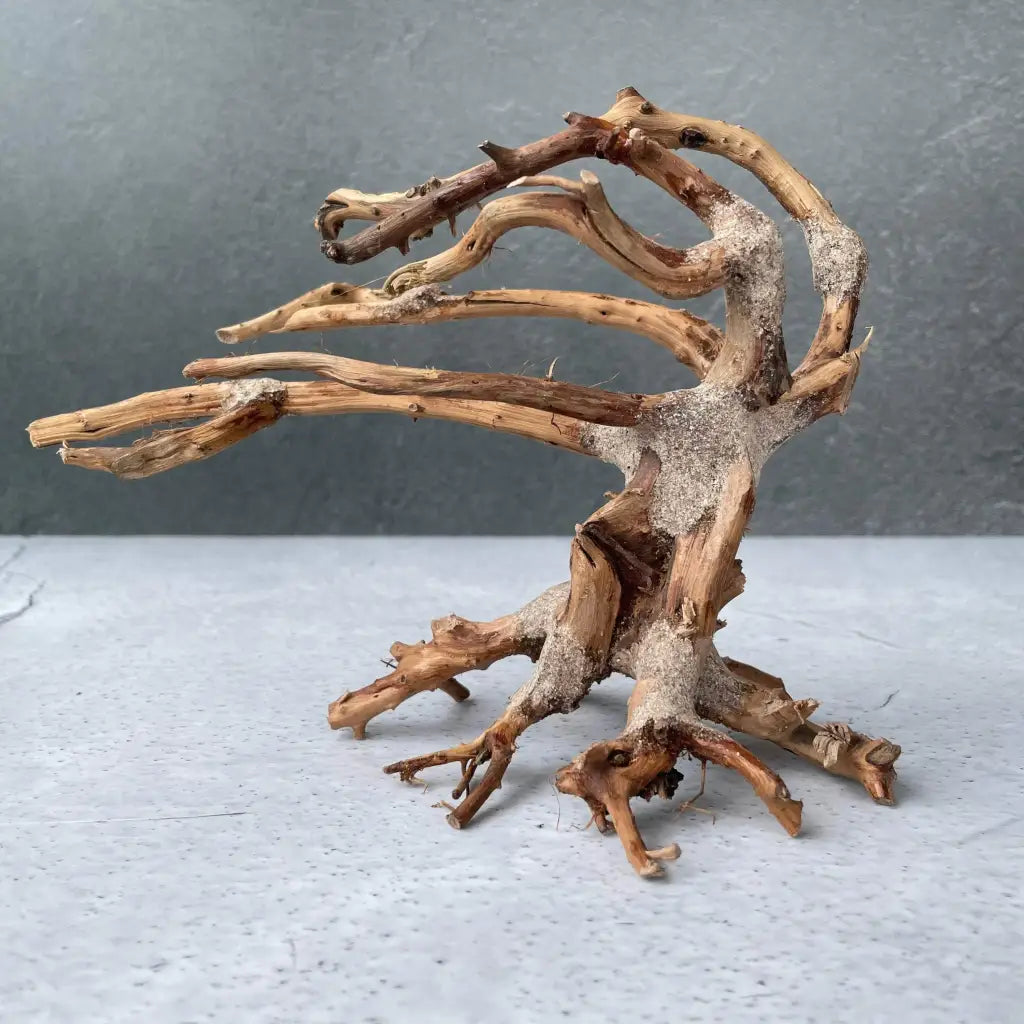 Aquascaping Handmade Aquatic Bonsai Driftwood Tree 20cm(L)x15cm(H) ABQ24