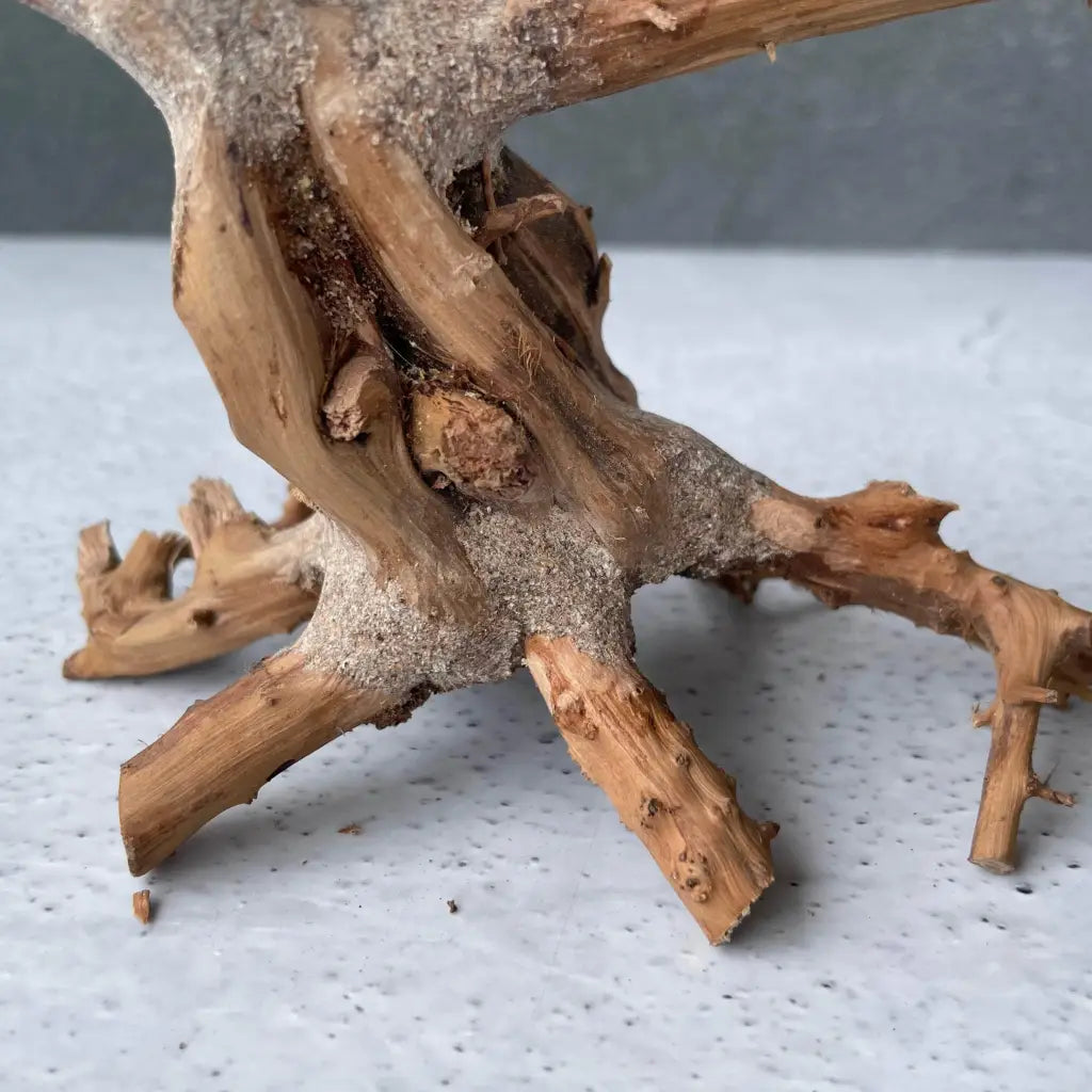 Aquascaping Handmade Aquatic Bonsai Driftwood Tree 20cm(L)x15cm(H) ABQ24