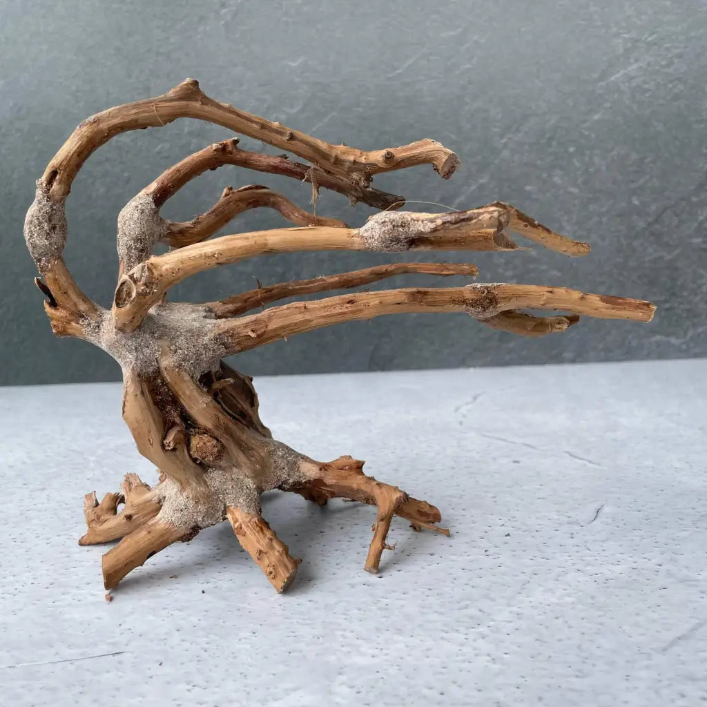 Aquascaping Handmade Aquatic Bonsai Driftwood Tree 20cm(L)x15cm(H) ABQ24