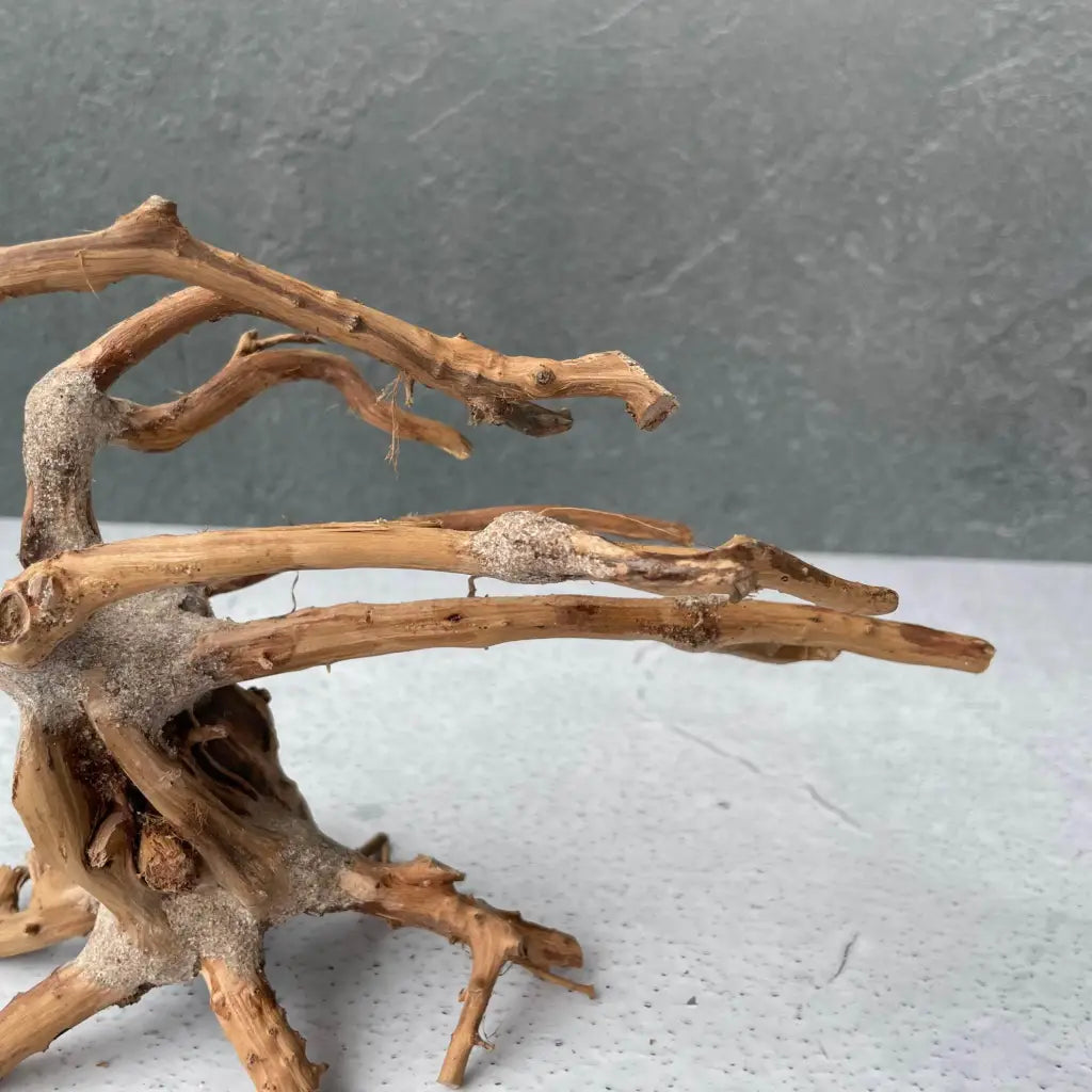 Aquascaping Handmade Aquatic Bonsai Driftwood Tree 20cm(L)x15cm(H) ABQ24