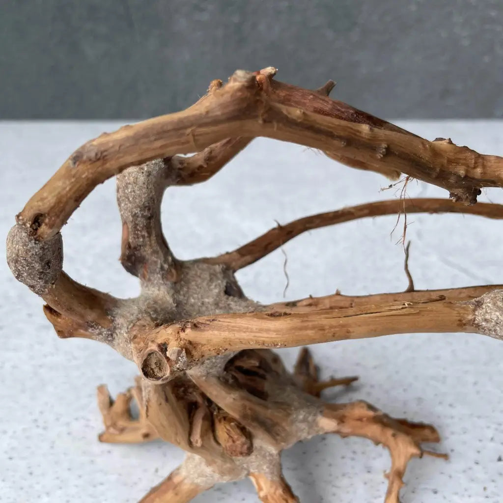 Aquascaping Handmade Aquatic Bonsai Driftwood Tree 20cm(L)x15cm(H) ABQ24