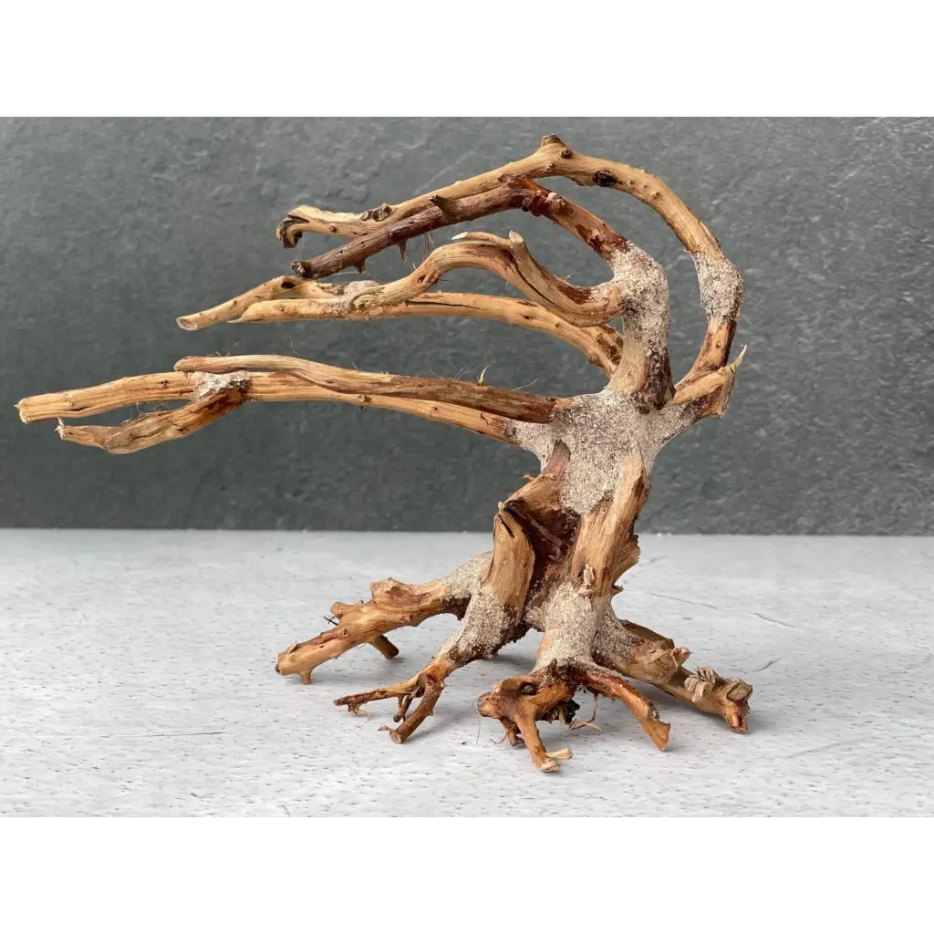 Aquascaping Handmade Aquatic Bonsai Driftwood Tree 20cm(L)x15cm(H) ABQ24
