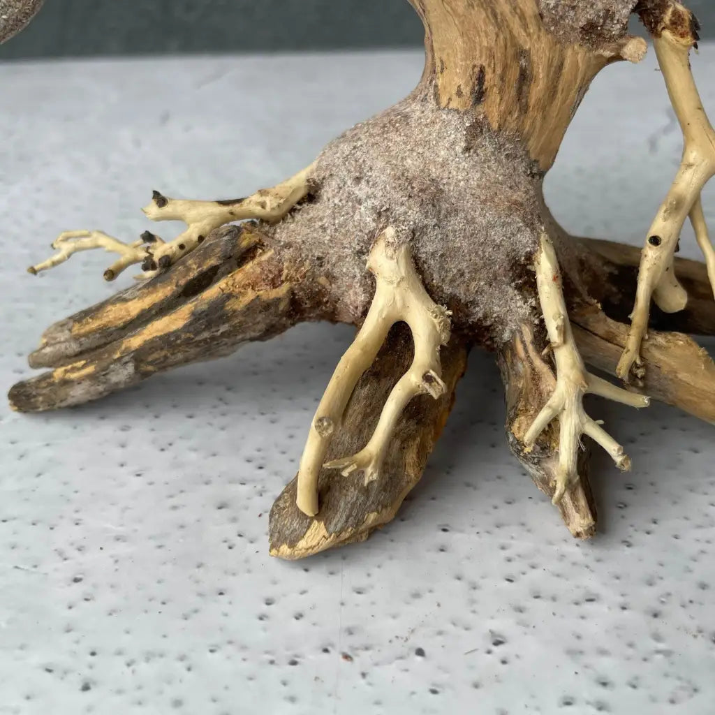 Aquascaping Handmade Aquatic Bonsai Driftwood Tree 20cm(L)x15cm(H) ABQ45