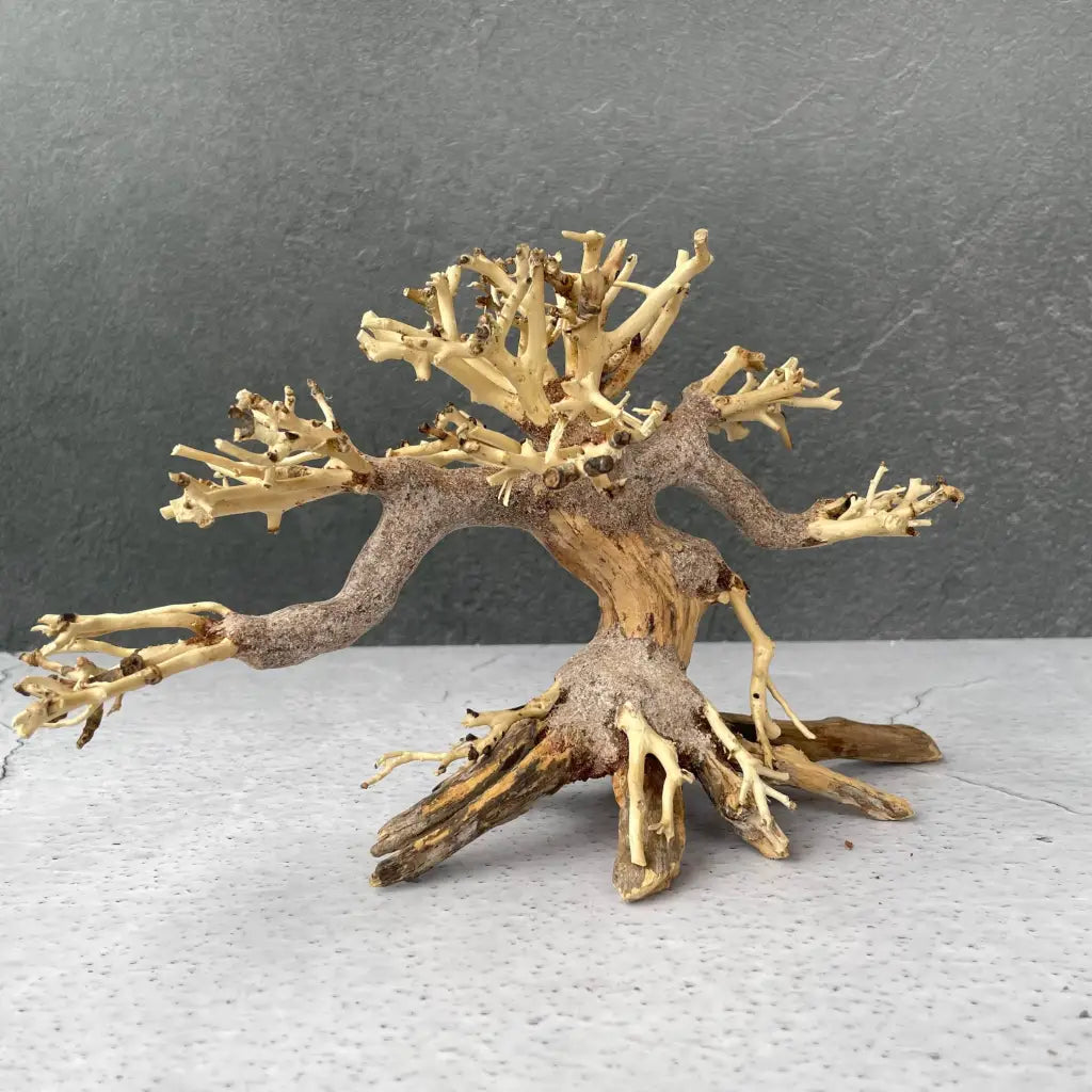Aquascaping Handmade Aquatic Bonsai Driftwood Tree 20cm(L)x15cm(H) ABQ45