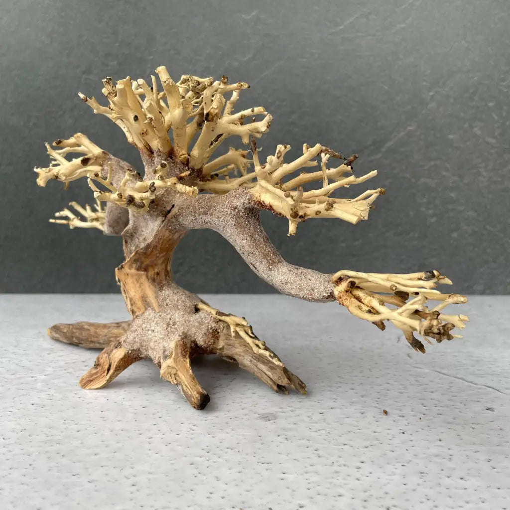 Aquascaping Handmade Aquatic Bonsai Driftwood Tree 20cm(L)x15cm(H) ABQ45
