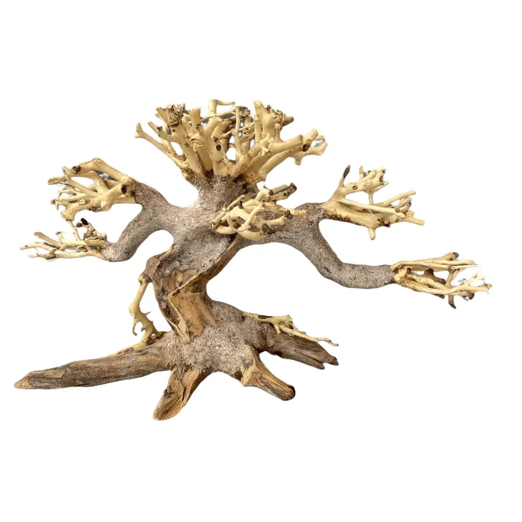Aquascaping Handmade Aquatic Bonsai Driftwood Tree 20cm(L)x15cm(H) ABQ45