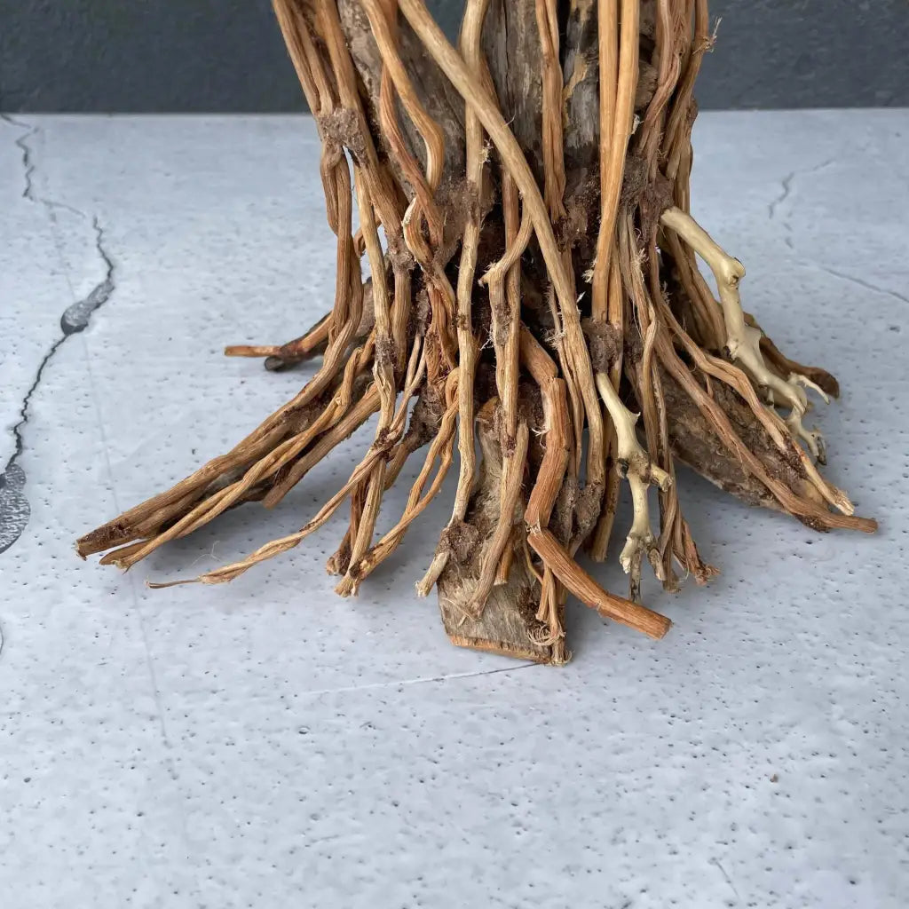 Aquascaping Handmade Aquatic Bonsai Driftwood Tree 25cm(L)x20cm(H) ABQ127