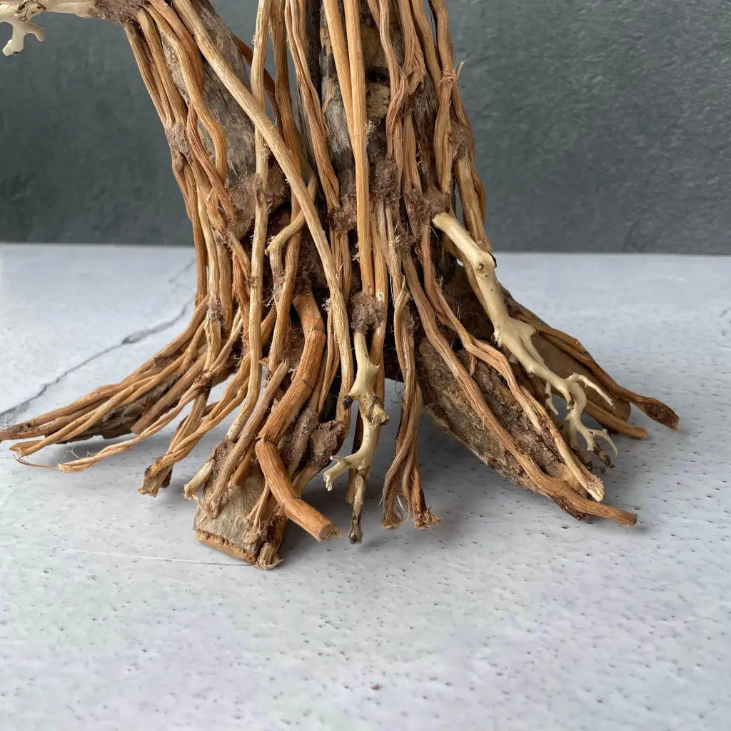 Aquascaping Handmade Aquatic Bonsai Driftwood Tree 25cm(L)x20cm(H) ABQ127